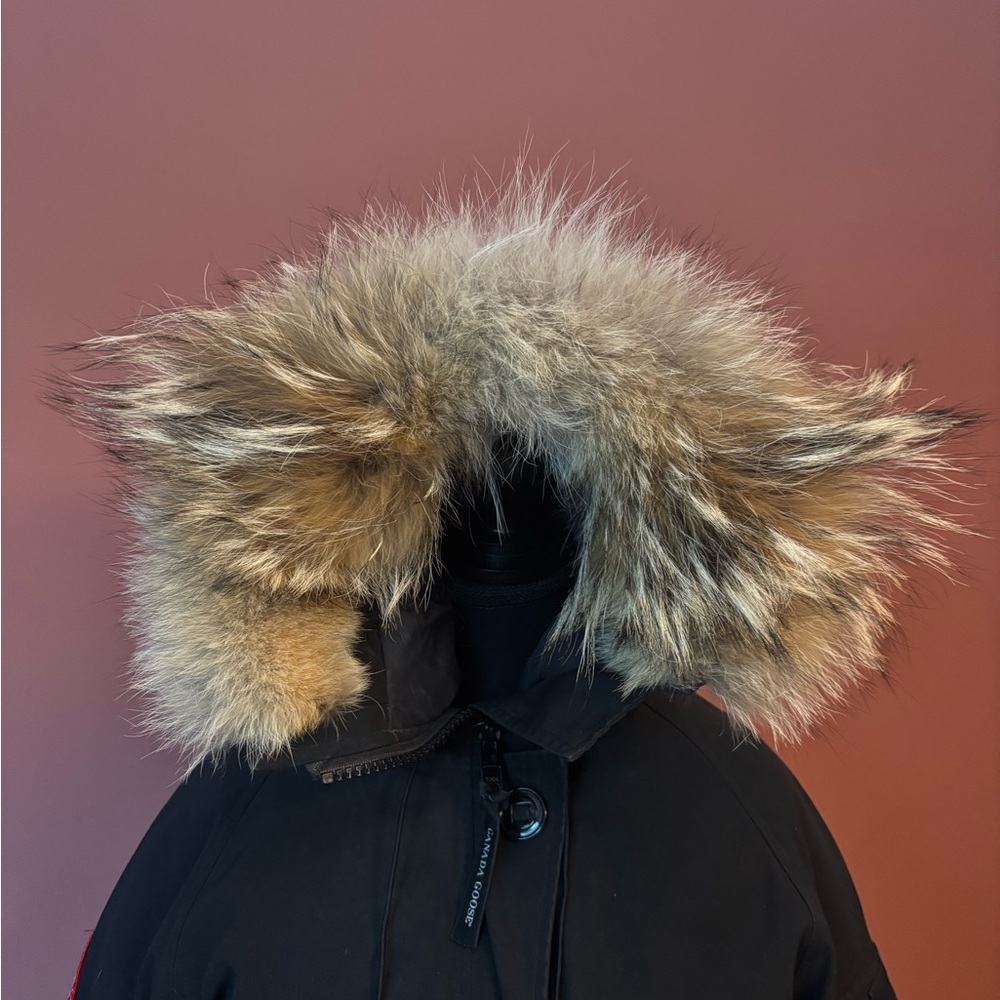 Canada Goose Chilliwack Bomber - Picture 8 of 16